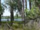 The ponds near South platte Resevori and along hte trails of South Platte Park - Littleton, Colorado