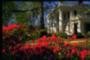 The Joshua Hill House