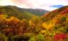 Beauty as far as the eye can see!