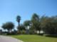 The Reserve Of Old Tampa Bay