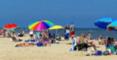 Assateague Beach