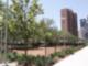Dog Park at Discovery Green