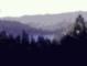 Amy Steele's Crestline