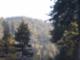 Amy Steele's Crestline