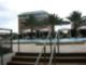 The Plaxa Harbour Island