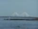 Cooper River Bridge View