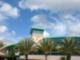 University Of South Florida