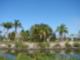 Apollo Beach