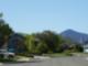 Community View