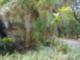 Alafia Preserve