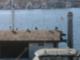 Marina Del Rey