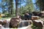 Another beautiful water feature