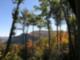 Fall at Whiteside Mountain