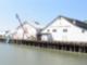 Old Cannery - Steveston Village
