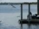 Dock Regional Park Brunswick Georgia