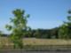Villebois Open Space