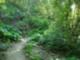 Logan Canyon Trail