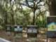 Alafia Preserve