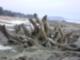 Popham Beach