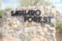 www.DesertMountainHomesOnline.com