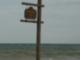 Oakville Harbour