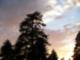 Amy Steele's Crestline