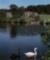 Lake Vista