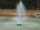 Peach Grove Villas - 5