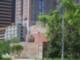 One lonesome flower at Discovery Green