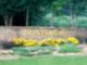 http://huntsburg.carolynmusselman.com
