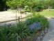 You can sponsor a garden at Wright's Pond, too