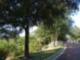 Bayshore Trails
