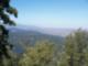 Amy Steele's Crestline
