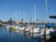 Downtown St Pete