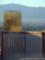 Trump Tower - Treasure Island - Las Vegas
