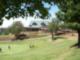 Gold Hills Golf Club