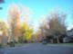 Street Scene in College Tract