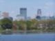 Looking over Lake of the Isles to Downtown Minneapolis in Summer