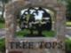 Welcome to Tree Tops!