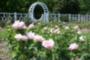 Missouri Botanical Garden - Tim Tanz, 2007