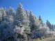 Winter Wonderful on PIsgah Mt.