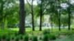 Town of Tioga