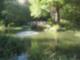 Bridge at Sayre Gardens
