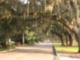 Views on Jekyll Island