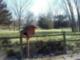 687 County Road U, Fremont, NE