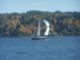Sailing in Sinclair Inlet