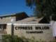 Cypress Willow