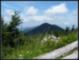 Mt. Mitchell State Park