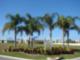 Bimini Bay
