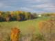 View of Fall in Goodview Landscape